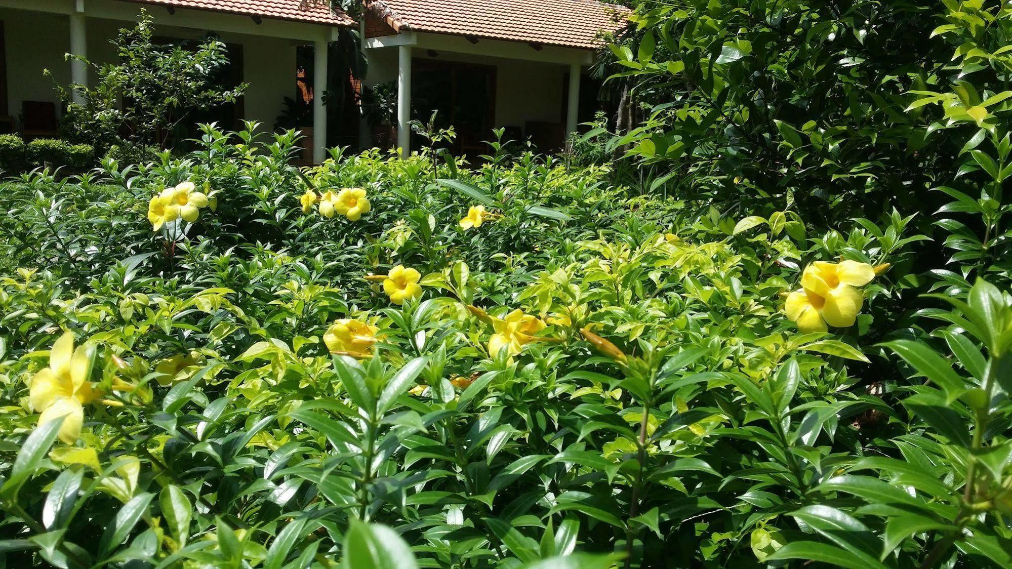 Wild Beach Phu Quoc Resort المظهر الخارجي الصورة